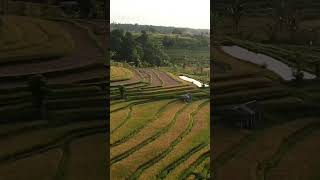 Download lagu jalir janji mp3 Download lagu jalir janji mp3