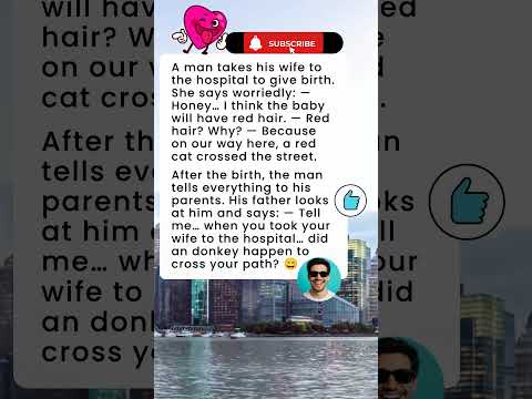 The Red Cat 🐱🤣