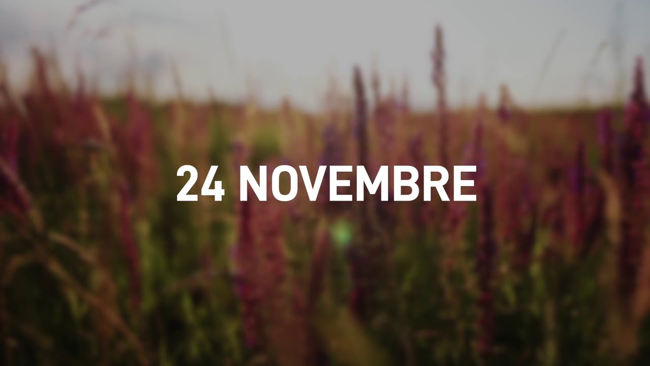 24 Novembre 2025 | Meditazione Parole di Vita