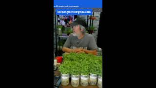 GROW FOOD FAST Live Demo