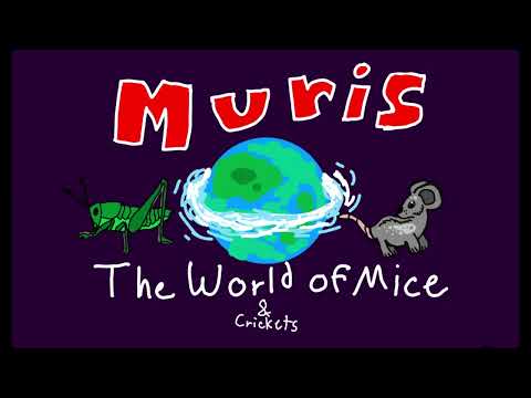 Muris The Planet of Mice Episode 1