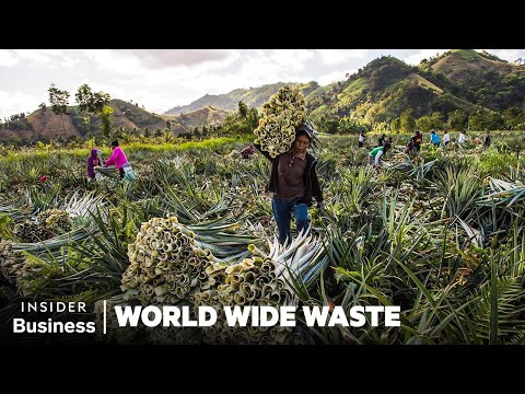 How People Profit Off Pineapple Scraps | World Wide Waste | Business Insider