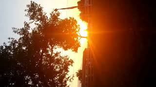 Sunrise Sarah Brightman Meadowlark.