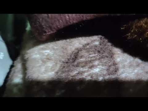 XXL XXL XXL XXL FREESTYLE 2024 |XXL 2025 | Xxwd5000xa | XXL XXL XXL XXL FREESTYLES