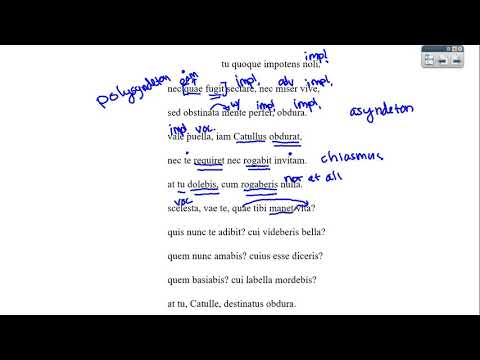 Catullus 8 Lines 9-19