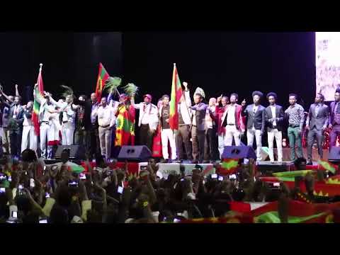 Marii Jaal Yaddii Abdushakuur kutaa lammaffaa fi xumura