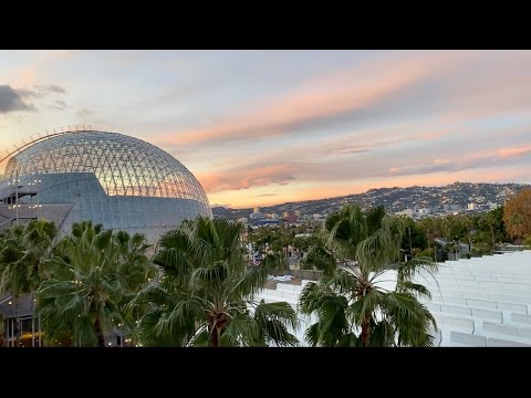 T8: Los Angeles County Museum of Art (LACMA)【Places to visit in LA】