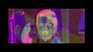 Raccoo-oo-oon - Visage of the fox