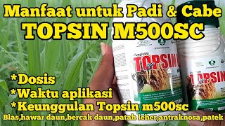 Download lagu FIRM, CLEAR, WEIGHTLY RICE USING TOPSIN M500SC mp3 Download lagu FIRM, CLEAR, WEIGHTLY RICE USING TOPSIN M500SC mp3
