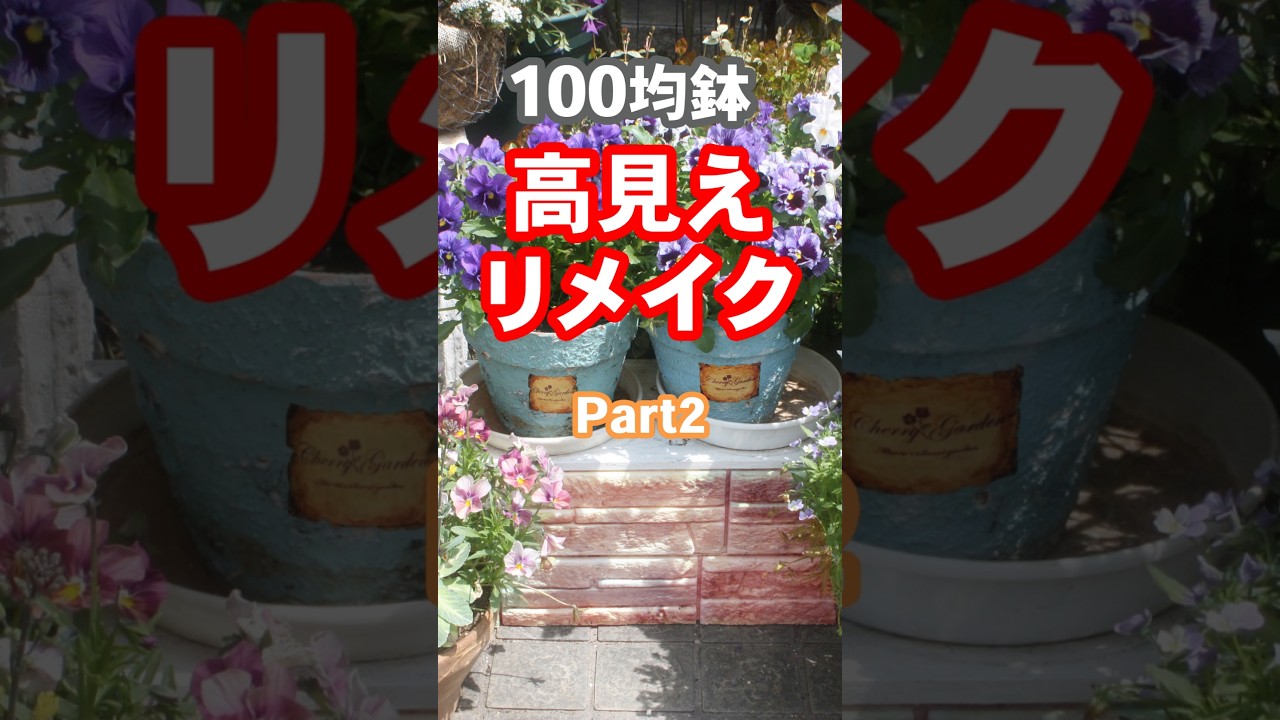 シンプルな鉢が100均材料でおしゃれな鉢へ大変身　#shorts  #diy #リメイク鉢