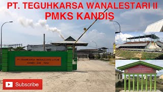 preview picture of video 'Pabrik Kelapa Sawit PT. TKWL 2 Kandis'