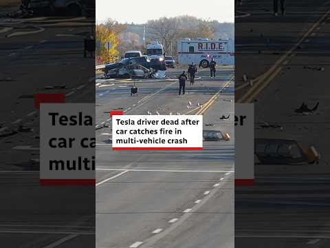 Tesla driver dead after car catches fire in multi-vehicle crash north of Toronto