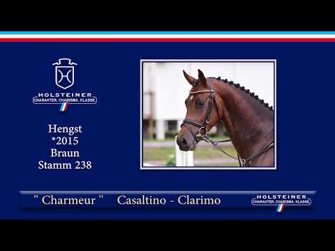 Holsteiner Elite-Reitpferdeauktion 2019 | Nr. 111 - Charmeur v. Casaltino-Coronado