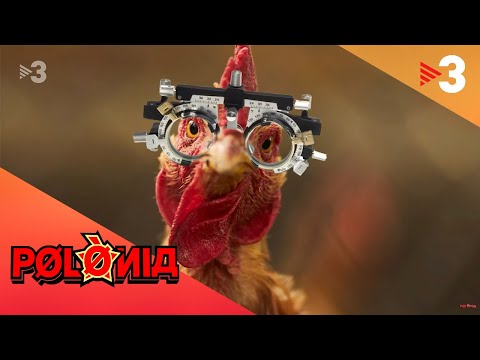 30  inversions que no arriben - Polònia