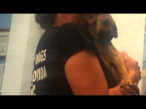 4 lives saved We Will Not give up on the ones we could Not catch