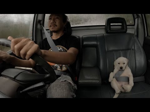 Video thumbnail for Welcome Change