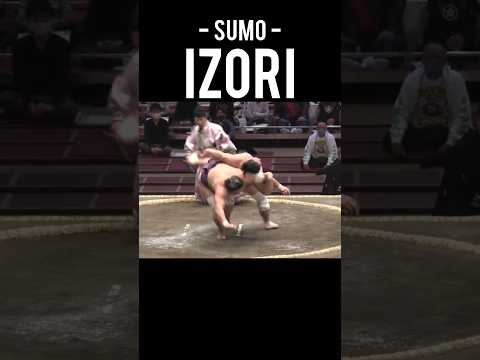 Martial Arts technique - Sumo - Izori #martialart #technique #sumo