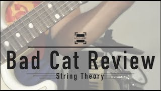 Video thumbnail for Bad Cat Attenuator Review by StringTheory