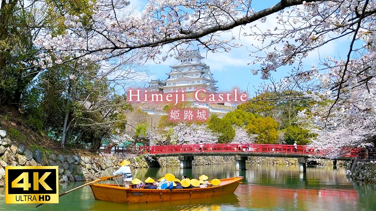 【4K Japan Walk】Himeji Castle -  The most beautiful Japanese castle and cherry blossom scenery