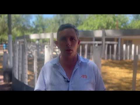 FRANCISCO GARIN - FERIA FIN DE AÑO - OLAVARRIA 16-12-2024