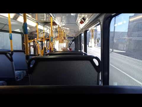 Transit Systems - 2584 - Scania K280UB/Bustech VST[Kingsgrove](428 - Martin Place)
