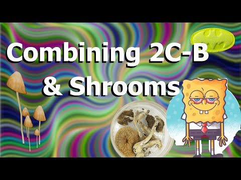 Combining 2C-B and Shrooms (My experience)