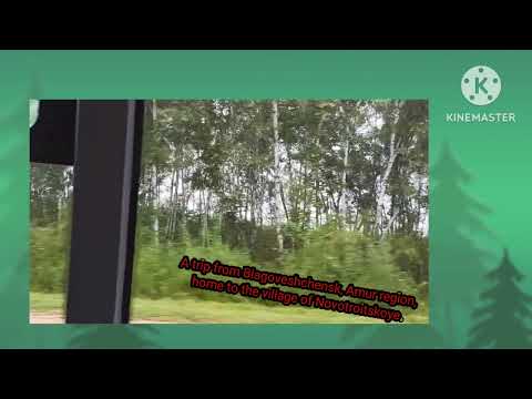 Extremo Oriente Rússia Região de Amur Uma viagem de ônibus de Blagoveshchensk até a vila de Novotroitskoye Nevoeiro.