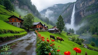 Beautiful Relaxing Music🌿Stop Overthinking, Stress Relief Music, Sleep Music, Calming Music