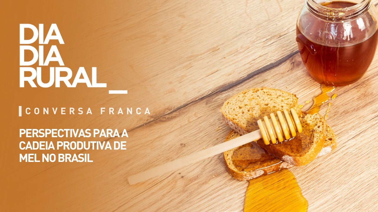 Perspectivas para a cadeia produtiva de mel no Brasil