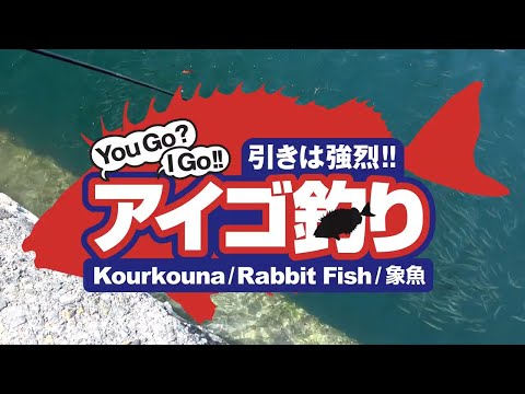 【Greek】Kourkouna Fishing