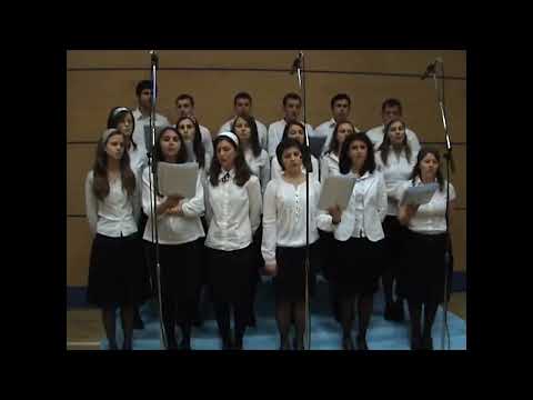 Pacatu-a ridicat o cruce - video