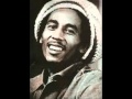 Bob Marley - Try Me