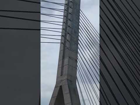 Puente Carolina San Miguel