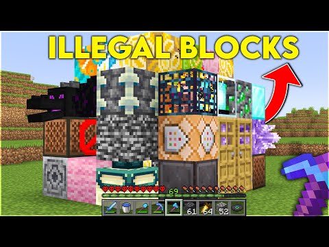 I Collected Every Rare Block In Minecraft Hardcore