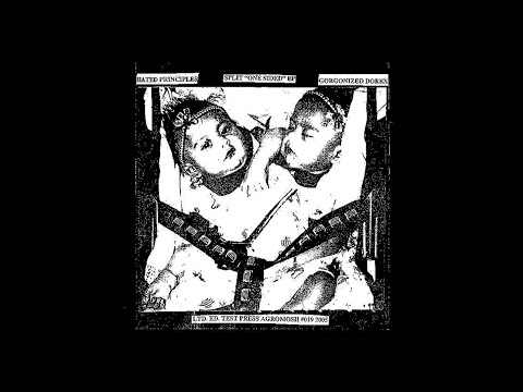 HATED PRINCIPLES / Tracks from Gorgonized Dorks split 7" (2005)