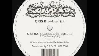 Cris B - The Storm
