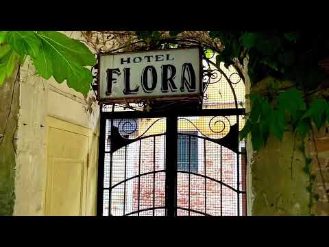 𝑯𝒐𝒎𝒐𝑨𝒎𝒆𝒓𝒊𝒄𝒂𝒏 𝑰𝒏 𝑽𝒆𝒏𝒊𝒄𝒆 - 𝑯𝒐𝒕𝒆𝒍 𝑭𝒍𝒐𝒓𝒂