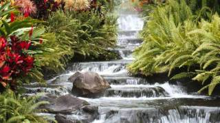 Manchmal (The Rose).wmv