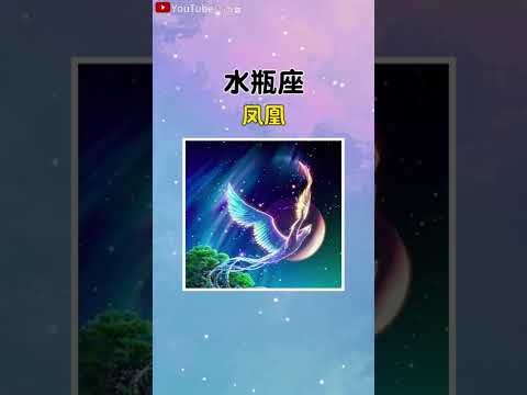世界上最少的星座