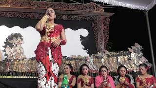 Download lagu SINDEN AYU - KANGGO KOWE - Campursari Sekar Gadhung mp3