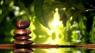 Living from the Heart with Lujan Matus