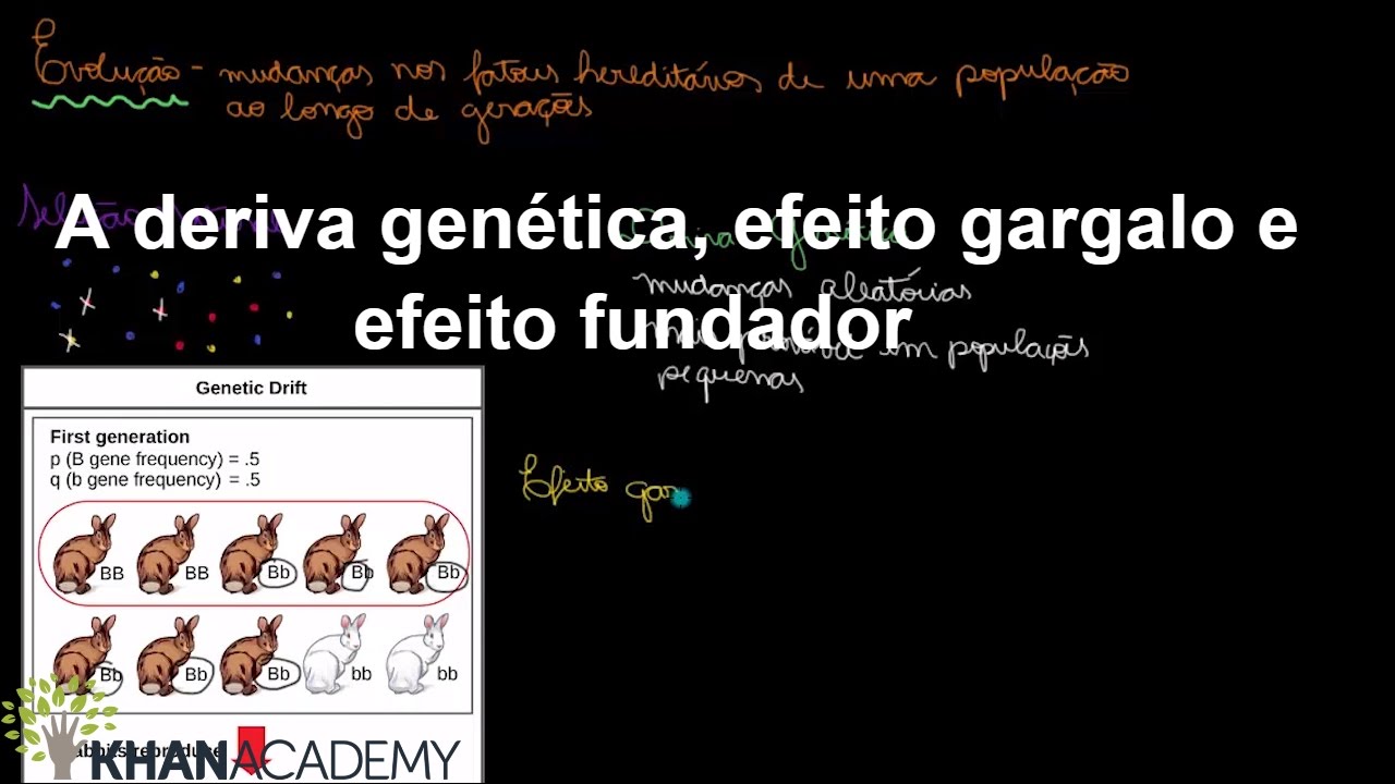 A deriva genética, efeito gargalo e efeito fundador | Biologia | Khan Academy
