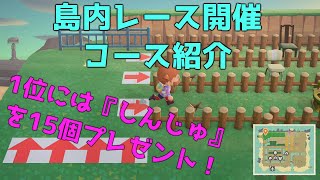 【あつ森】島内レース紹介！参加者募集！【AnimalCrossing】