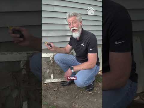 Why This Crawl Space Was Failing 😬