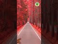 Be Namazi Par Jahannam Ka Azab Namaz Short
