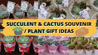 Succulent & Cactus Souvenir Ideas For All Occasions | Plant Gift Ideas | Party Favors