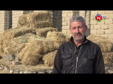 Sosial həyat 05.02.2021