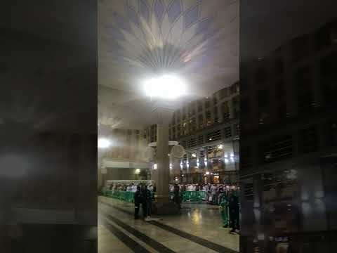 27th Ramadan lailatul Qadri in Masjid-e-Nabawi alhmdulillah 😭😭😭 #subscribe #madinamunawara #allah