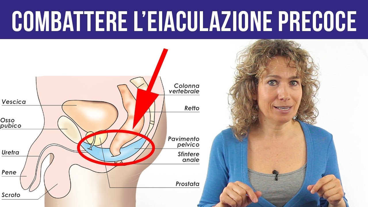 Watch Now EIACULAZIONE PRECOCE: qual è il principale muscolo coinvolto e come rafforzarlo per contrastarla EIACULAZIONE PRECOCE: qual è il principale muscolo coinvolto e come rafforzarlo per contrastarla