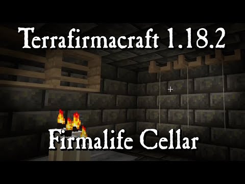 Terrafirmacraft 1.18.2 Terrafirmadoll S3 - 025 - Firmalife cellar